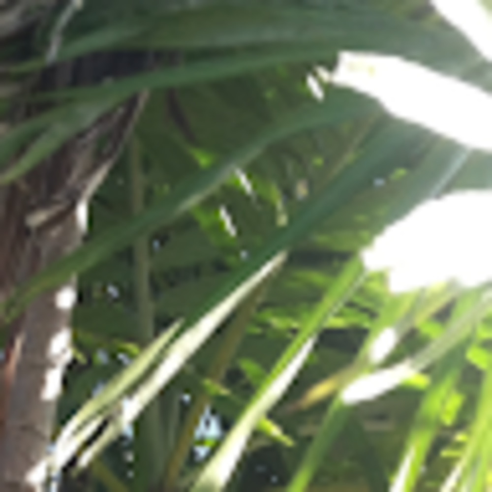 Meet your Posher, Eliza